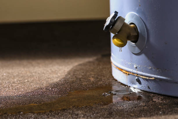 Best Mold removal after water damage  in Honeygo, MD