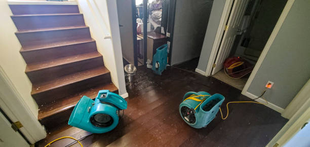 Best Water damage restoration near me  in Honeygo, MD