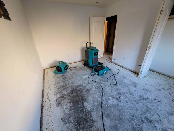 Best Professional water damage repair  in Honeygo, MD