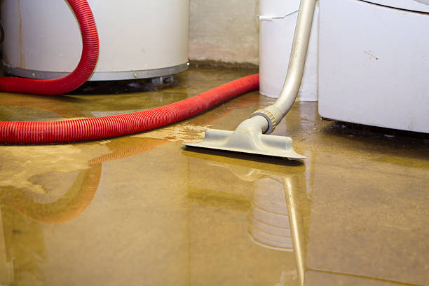 Best Carpet water damage restoration  in Honeygo, MD