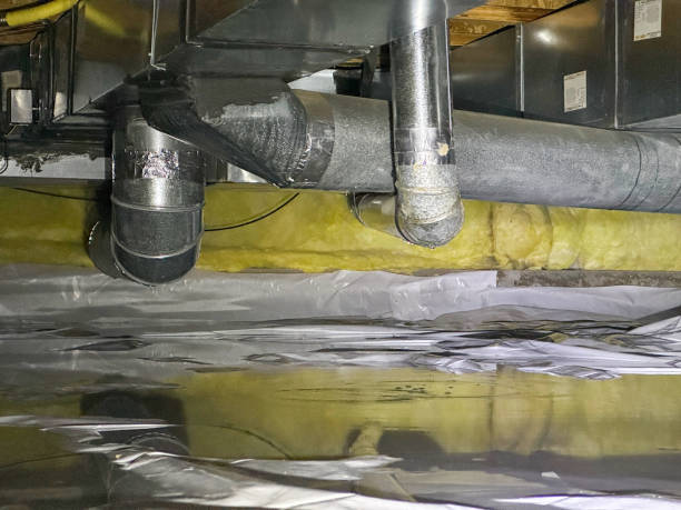 Best Water damage restoration near me  in Honeygo, MD