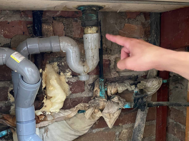 Best Flooded house restoration  in Honeygo, MD