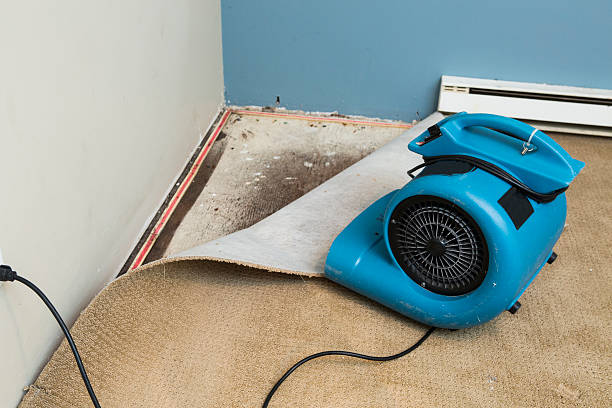 Best Commercial water damage restoration  in Honeygo, MD